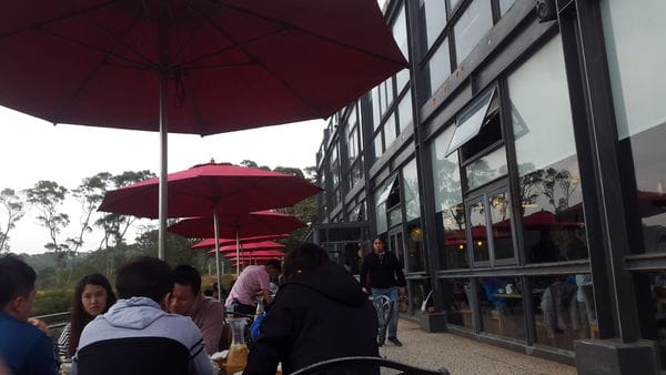 【好食分享】新竹的景觀餐廳,綠芳園景觀店聚會好地方 - 第30張圖 【好食分享】新竹的景觀餐廳,綠芳園景觀店聚會好地方