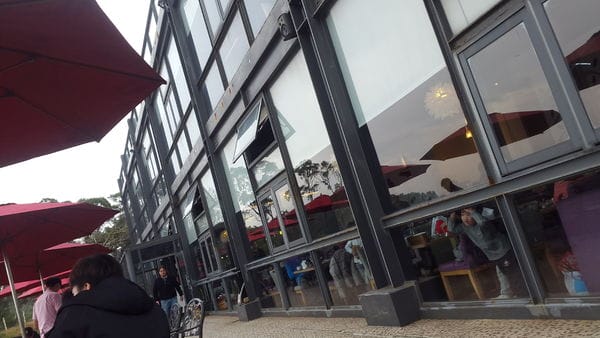 【好食分享】新竹的景觀餐廳,綠芳園景觀店聚會好地方 - 第29張圖 【好食分享】新竹的景觀餐廳,綠芳園景觀店聚會好地方