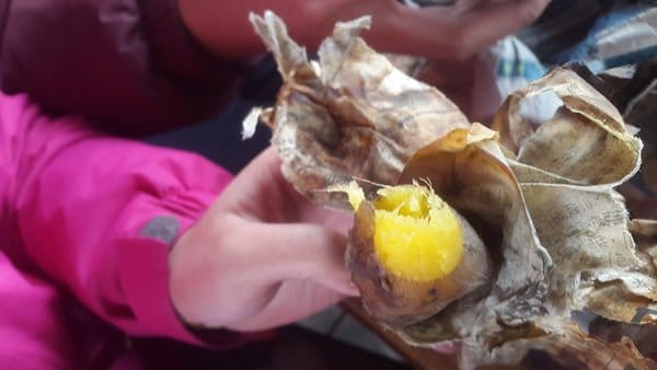 &林家古厝休閒農場歡樂控窯一日遊