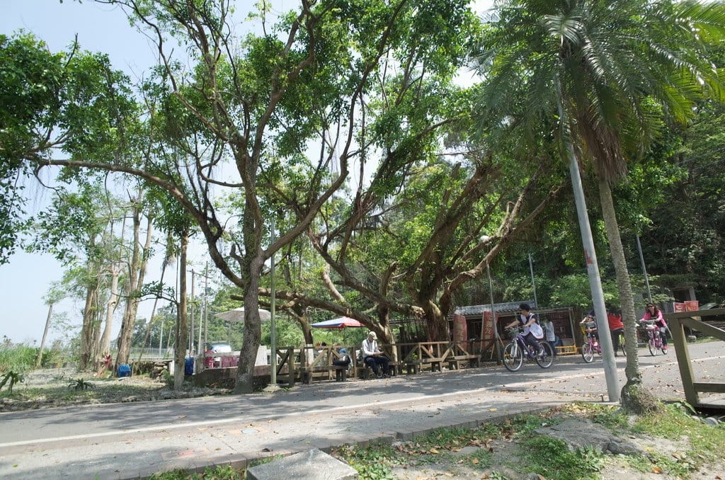 【2016宜蘭旅遊樂活】宜蘭縣政府風景區-梅花湖風景特定區騎自行車賞湖景