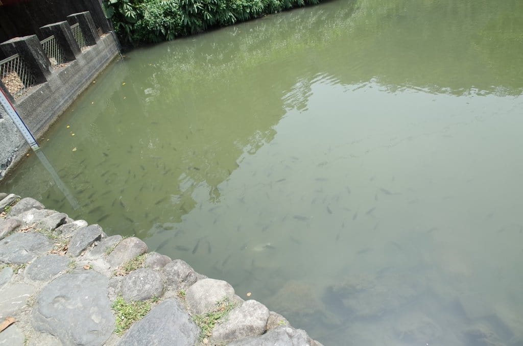 【2016宜蘭旅遊樂活】宜蘭縣政府風景區-梅花湖風景特定區騎自行車賞湖景