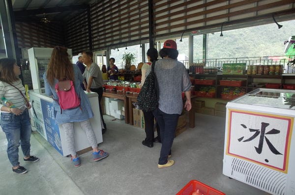 【2016宜蘭旅遊樂活】內城社區‧鐵牛力阿卡初體驗*親子農村初夏遊