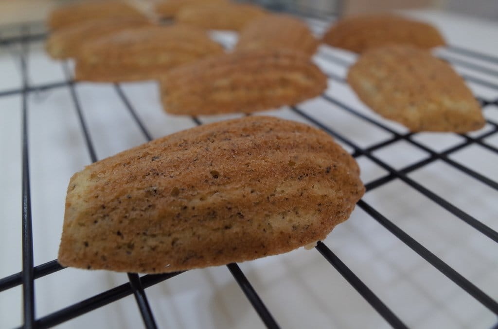 【好玩分享】新竹竹北第一家〝玩烘焙〞，一起體驗親子做蛋糕樂~跟好姊妹來也不錯呦。