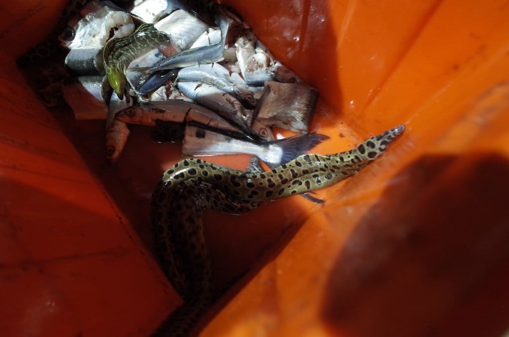 【旅遊樂活】澎湖大倉島 DAY2旅遊分享 碧海藍天之渡假、海上活動、8BQ (下) - 第49張圖 【旅遊樂活】澎湖大倉島 DAY2旅遊分享 碧海藍天之渡假、海上活動、8BQ (下)