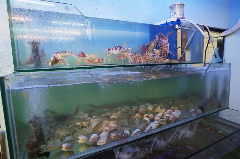 【好食分享】#ad 新竹 第一夯海鮮燒物〝新竹活體海鮮〞消夜首選好地方~喝了喇!! - 第14張圖 【好食分享】#ad 新竹 第一夯海鮮燒物〝新竹活體海鮮〞消夜首選好地方~喝了喇!!