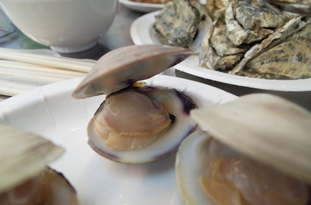 【好食分享】#ad 新竹 第一夯海鮮燒物〝新竹活體海鮮〞消夜首選好地方~喝了喇!! - 第25張圖 【好食分享】#ad 新竹 第一夯海鮮燒物〝新竹活體海鮮〞消夜首選好地方~喝了喇!!