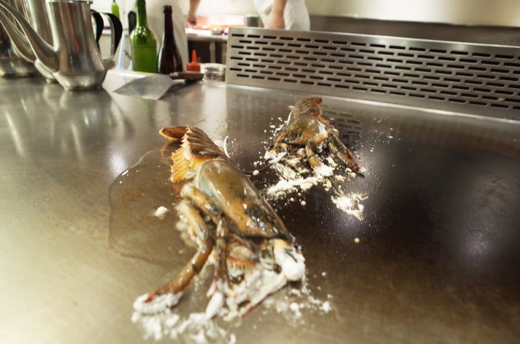 【好食分享】新竹美食 新竹鐵板燒 〝漢神鐵板燒〞關新近竹科,一起來吃龍蝦啦~ - 第35張圖 【好食分享】新竹美食 新竹鐵板燒 〝漢神鐵板燒〞關新近竹科,一起來吃龍蝦啦~