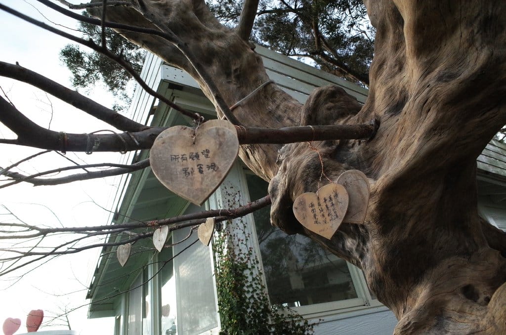 【旅遊樂活】苗栗卓蘭 兩天一夜之我可能不會愛你 園區介紹 自然風情 - 第19張圖 【旅遊樂活】苗栗卓蘭 兩天一夜之我可能不會愛你 園區介紹 自然風情