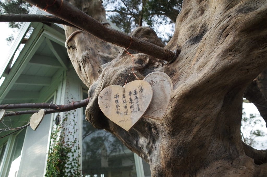 【旅遊樂活】苗栗卓蘭 兩天一夜之我可能不會愛你 園區介紹 自然風情 - 第20張圖 【旅遊樂活】苗栗卓蘭 兩天一夜之我可能不會愛你 園區介紹 自然風情