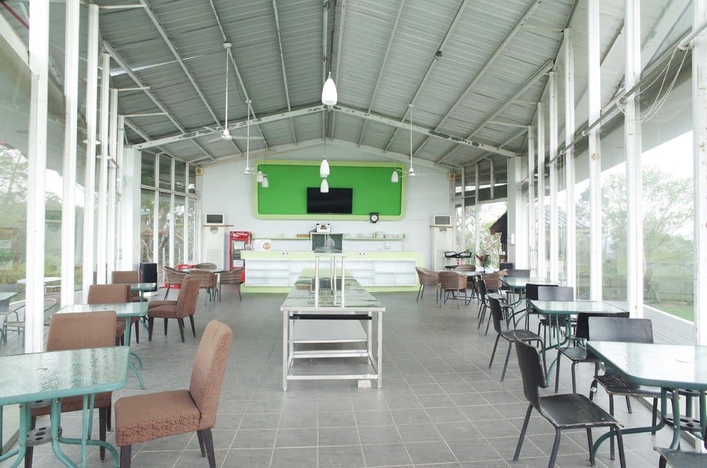 【旅遊樂活】苗栗卓蘭 兩天一夜之我可能不會愛你 園區介紹 自然風情 - 第13張圖 【旅遊樂活】苗栗卓蘭 兩天一夜之我可能不會愛你 園區介紹 自然風情