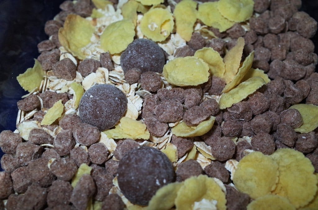 【好物分享】Germangoods 德蜜林 歐洲麥片 超好吃輕盈餐點之我愛麥片