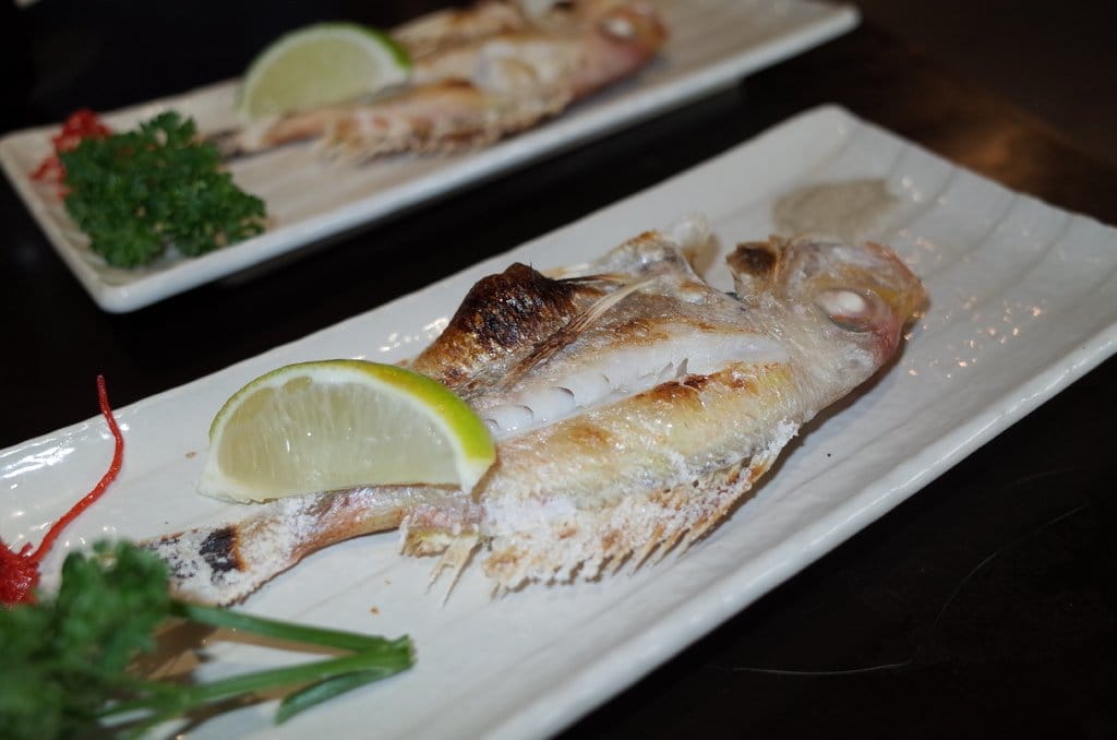 【好食分享】新竹 太菊平價日式料理 近新竹轉運站 好停車