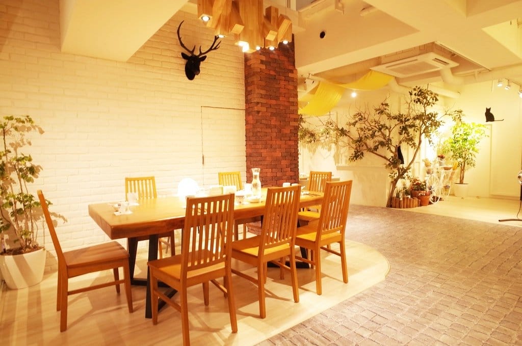 【好食分享】新竹coscto周邊美食〝優雅裝潢歐風餐廳〞停留你的腳步愜意的吃頓飯吧