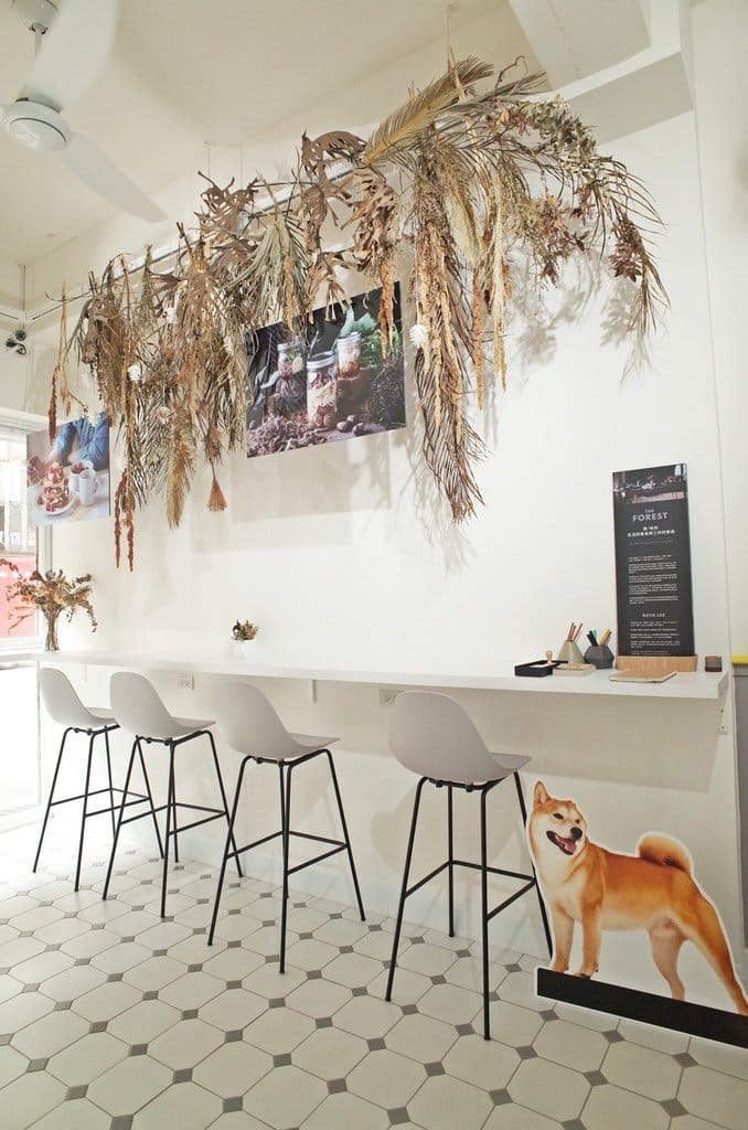 【好食分享】新竹在地經營，近big city巨城，我與小布丁在風徐徐 homebibi，風格咖啡店