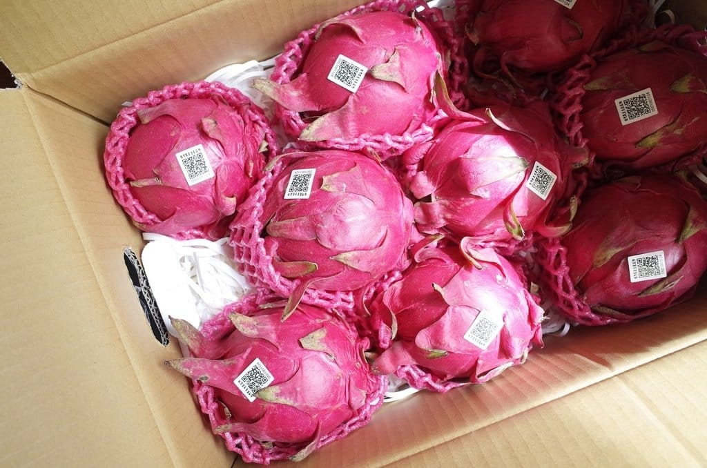 【好食分享】宅配火龍果產地直送台南仁波霸火龍果有機小農,大顆飽滿創意火龍果吃法 - 第5張圖 【好食分享】宅配火龍果產地直送台南仁波霸火龍果有機小農,大顆飽滿創意火龍果吃法