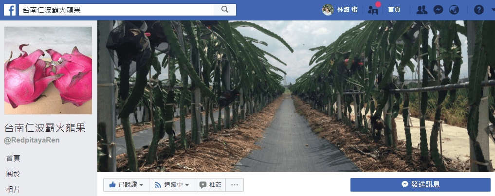 【好食分享】宅配火龍果產地直送台南仁波霸火龍果有機小農,大顆飽滿創意火龍果吃法 - 第2張圖 【好食分享】宅配火龍果產地直送台南仁波霸火龍果有機小農,大顆飽滿創意火龍果吃法