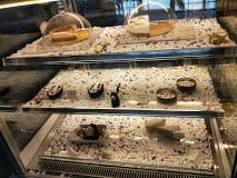 【好食分享】新竹巷弄熱門甜點，近新竹火車站游泳池咖啡店 默默 x Reviver IG打卡熱點