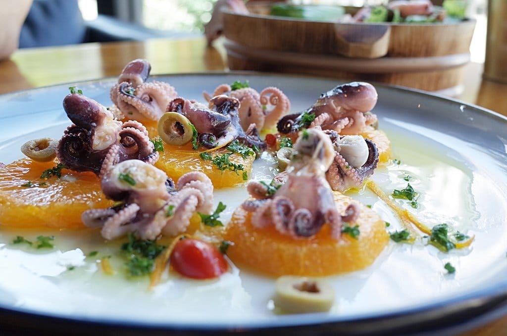 【好食分享】橋下2.0 Restaurant & Bar 竹北的朋友不用再跑新竹啦,不管白天、深夜 來個放鬆的小約會吧 - 第26張圖 【好食分享】橋下2.0 Restaurant & Bar 竹北的朋友不用再跑新竹啦,不管白天、深夜 來個放鬆的小約會吧