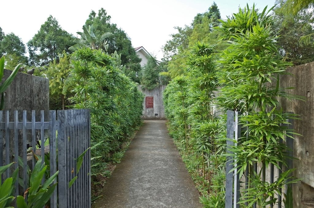 【好食分享】新竹峨眉鄉 二泉湖畔咖啡民宿，恬靜的湖畔風光假日親子好去處，隱密打卡據點