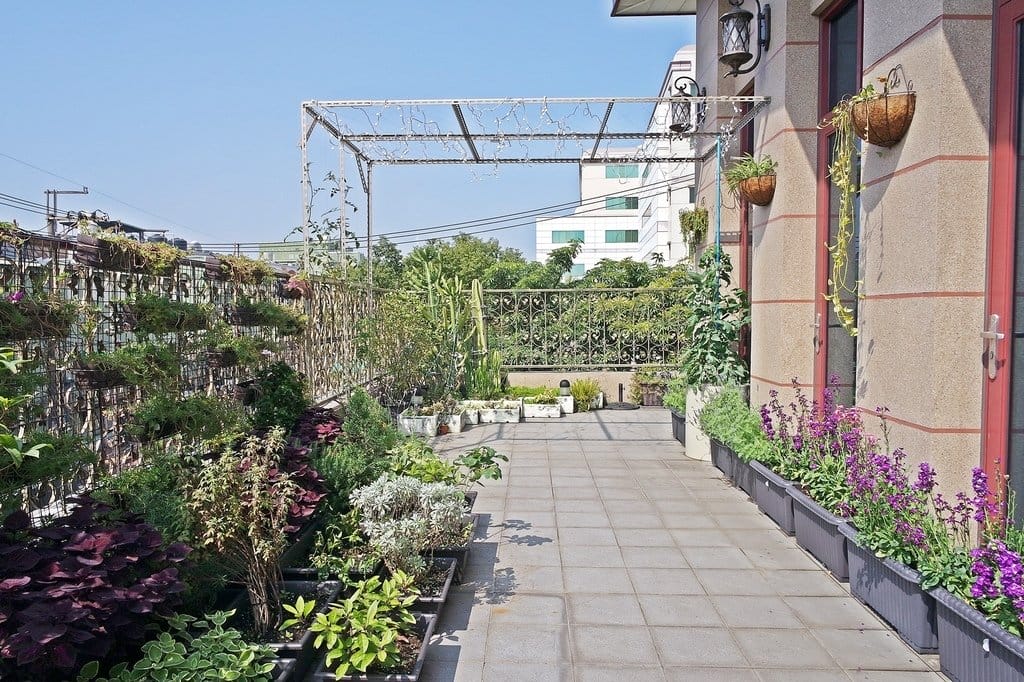 【好食分享】桃園龜山 Bistro181法國餐廳,不但浪漫又好吃,獨特的溫室有機種植,還能吃得好健康 - 第14張圖 【好食分享】桃園龜山 Bistro181法國餐廳,不但浪漫又好吃,獨特的溫室有機種植,還能吃得好健康