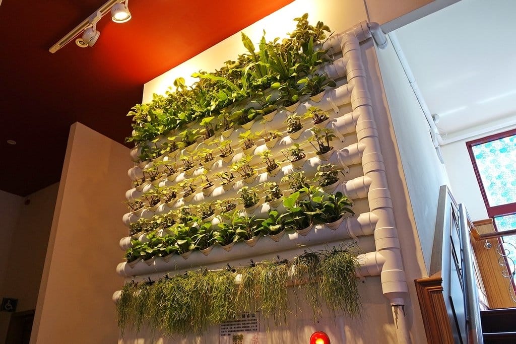 【好食分享】桃園龜山 Bistro181法國餐廳,不但浪漫又好吃,獨特的溫室有機種植,還能吃得好健康 - 第8張圖 【好食分享】桃園龜山 Bistro181法國餐廳,不但浪漫又好吃,獨特的溫室有機種植,還能吃得好健康