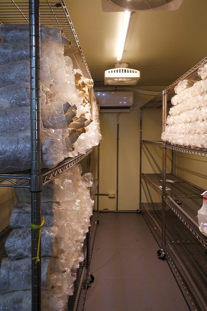 【好食分享】桃園龜山 Bistro181法國餐廳,不但浪漫又好吃,獨特的溫室有機種植,還能吃得好健康 - 第35張圖 【好食分享】桃園龜山 Bistro181法國餐廳,不但浪漫又好吃,獨特的溫室有機種植,還能吃得好健康