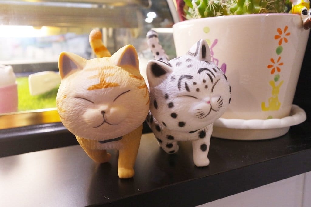 【好食分享】台北松山下午茶推薦,近中山國中站,夏綠地咖啡Charlotte Cafe,超好吃的手作米鬆餅 - 第8張圖 【好食分享】台北松山下午茶推薦,近中山國中站,夏綠地咖啡Charlotte Cafe,超好吃的手作米鬆餅