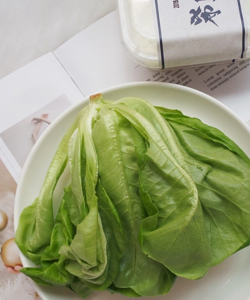 【生活分享】甜蜜媽咪夏季無負擔輕食推薦,自己動手做,營養師輕食,水耕蔬菜,希臘優格 - 第14張圖 【生活分享】甜蜜媽咪夏季無負擔輕食推薦,自己動手做,營養師輕食,水耕蔬菜,希臘優格