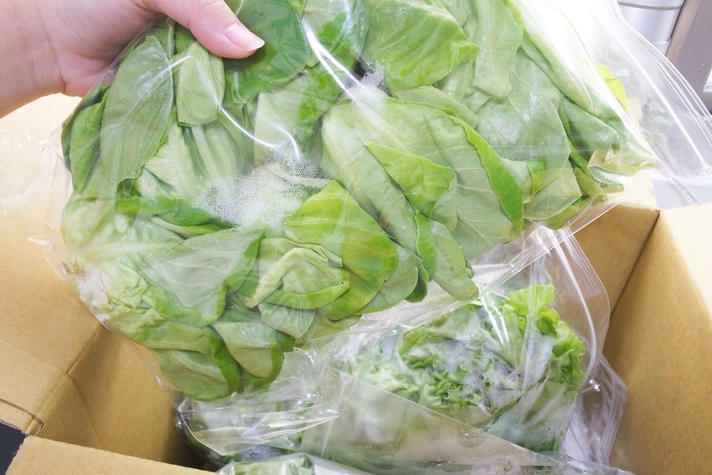 【生活分享】甜蜜媽咪夏季無負擔輕食推薦,自己動手做,營養師輕食,水耕蔬菜,希臘優格 - 第4張圖 【生活分享】甜蜜媽咪夏季無負擔輕食推薦,自己動手做,營養師輕食,水耕蔬菜,希臘優格