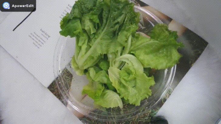 【生活分享】甜蜜媽咪夏季無負擔輕食推薦,自己動手做,營養師輕食,水耕蔬菜,希臘優格 - 第15張圖 【生活分享】甜蜜媽咪夏季無負擔輕食推薦,自己動手做,營養師輕食,水耕蔬菜,希臘優格