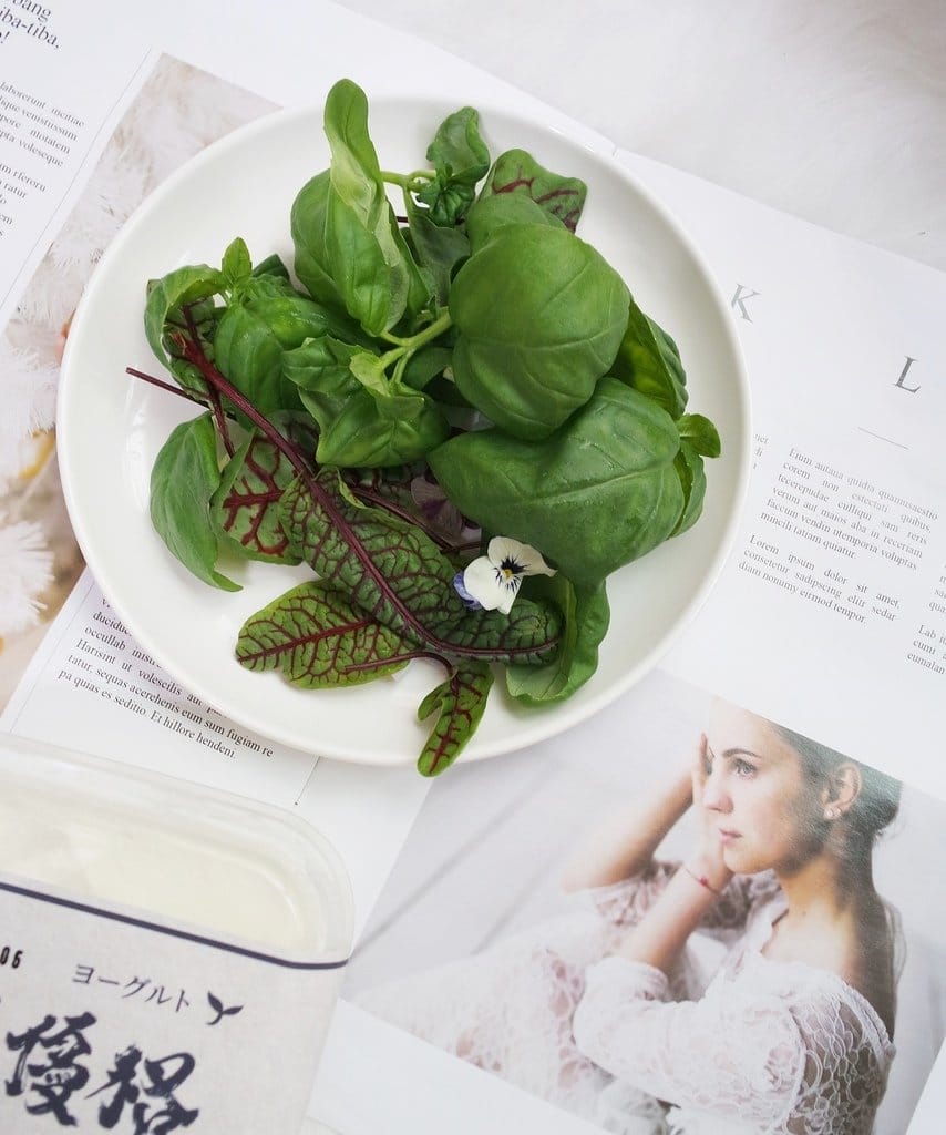 【生活分享】甜蜜媽咪夏季無負擔輕食推薦,自己動手做,營養師輕食,水耕蔬菜,希臘優格 - 第9張圖 【生活分享】甜蜜媽咪夏季無負擔輕食推薦,自己動手做,營養師輕食,水耕蔬菜,希臘優格