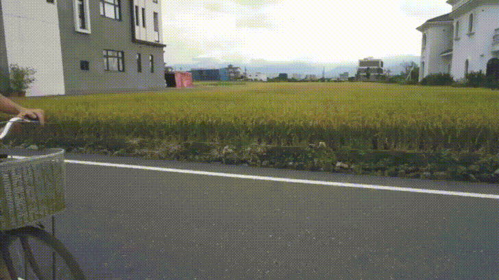 【住宿分享】宜蘭羅東民宿,蝶舞境安溜滑梯親子民宿,小朋友的夢幻天堂,超美的鄉村城堡風格