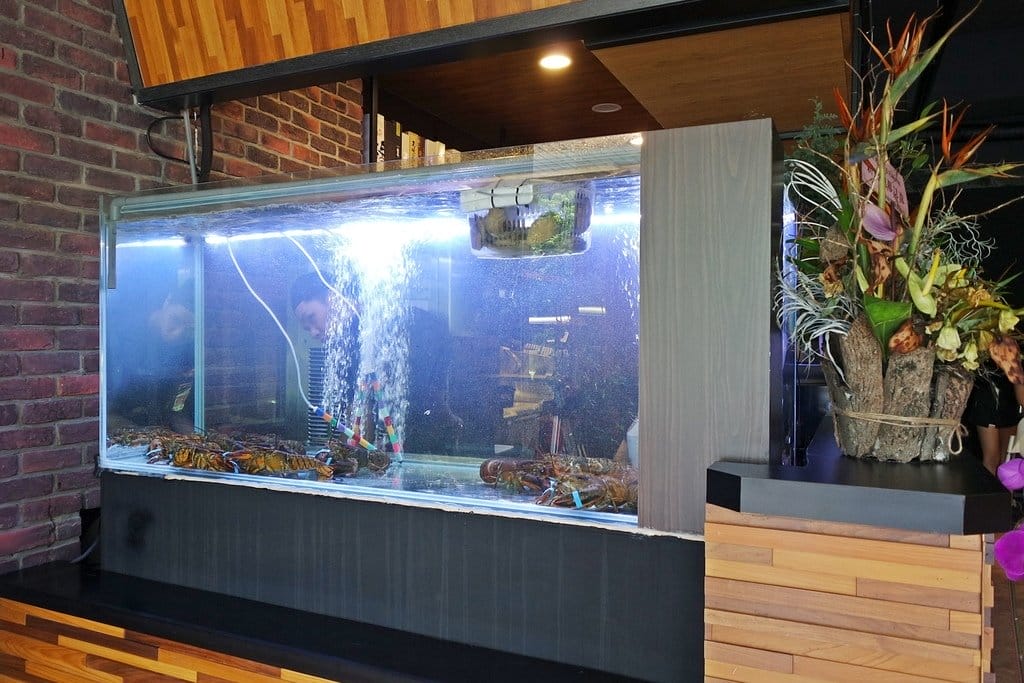 【好食分享】新竹必吃推薦,山上走走日式無菜單海鮮鍋物,活體龍蝦、馬糞海膽、A5和牛、松露龍蝦雜炊粥、金箔冰淇淋