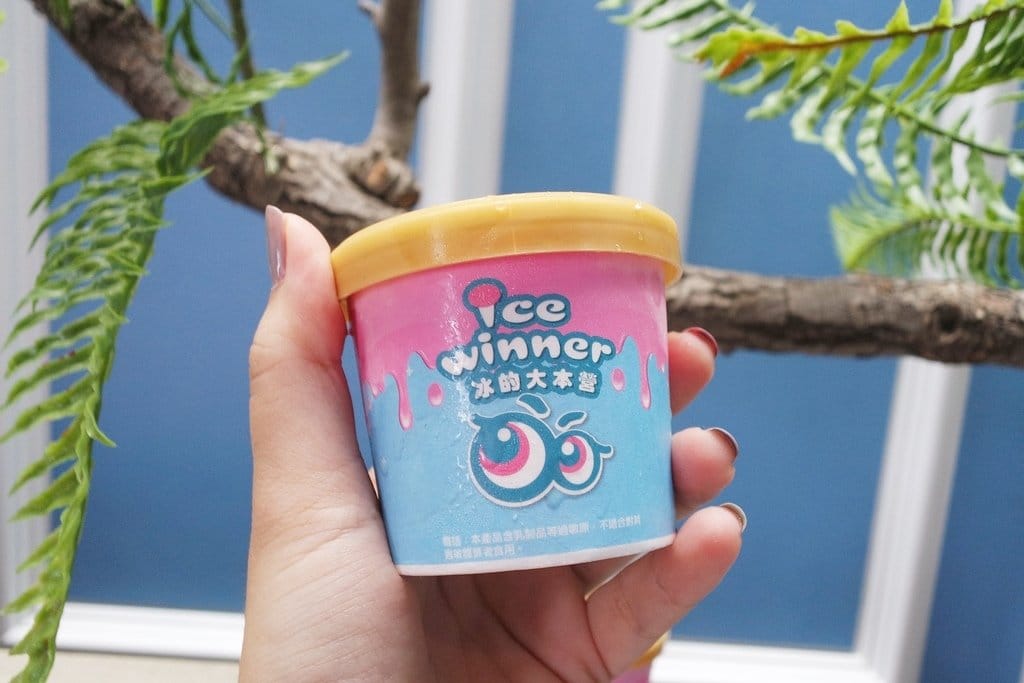 【旅遊分享】南投CP值高,住宿推薦,舒蘭精品旅館,超美大坪數房型,適合有孩子的小家庭入住