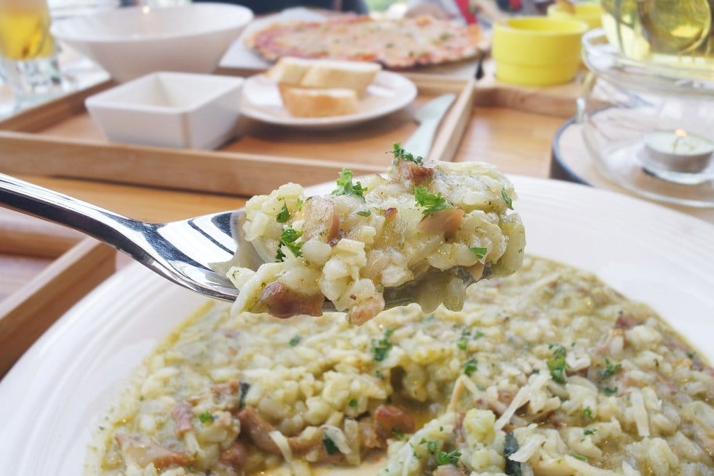 【好食分享】新竹竹東卡菲努努景觀餐廳,寵物友善,辦公、聚餐、下午茶、咖啡,打卡景點推薦 - 第36張圖 【好食分享】新竹竹東卡菲努努景觀餐廳,寵物友善,辦公、聚餐、下午茶、咖啡,打卡景點推薦