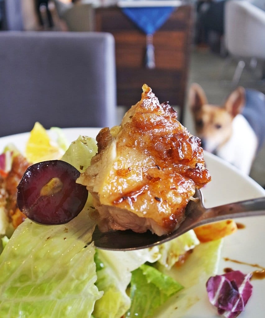 ‘ Manor 莫內咖啡莊園,寵物友 莫內咖啡莊園善餐廳,深坑臭豆腐披薩