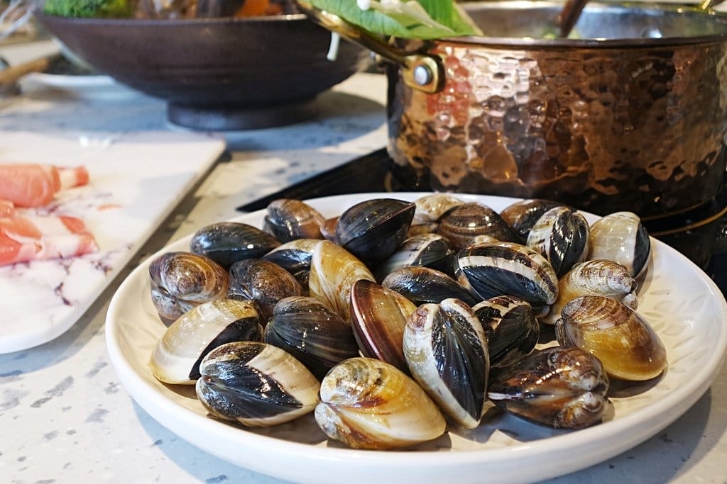 【好食分享】新竹全新開幕小火鍋推薦,湯頭濃郁松露雞湯鍋底,鍋工館火鍋專門店,文內附菜單 - 第21張圖 【好食分享】新竹全新開幕小火鍋推薦,湯頭濃郁松露雞湯鍋底,鍋工館火鍋專門店,文內附菜單