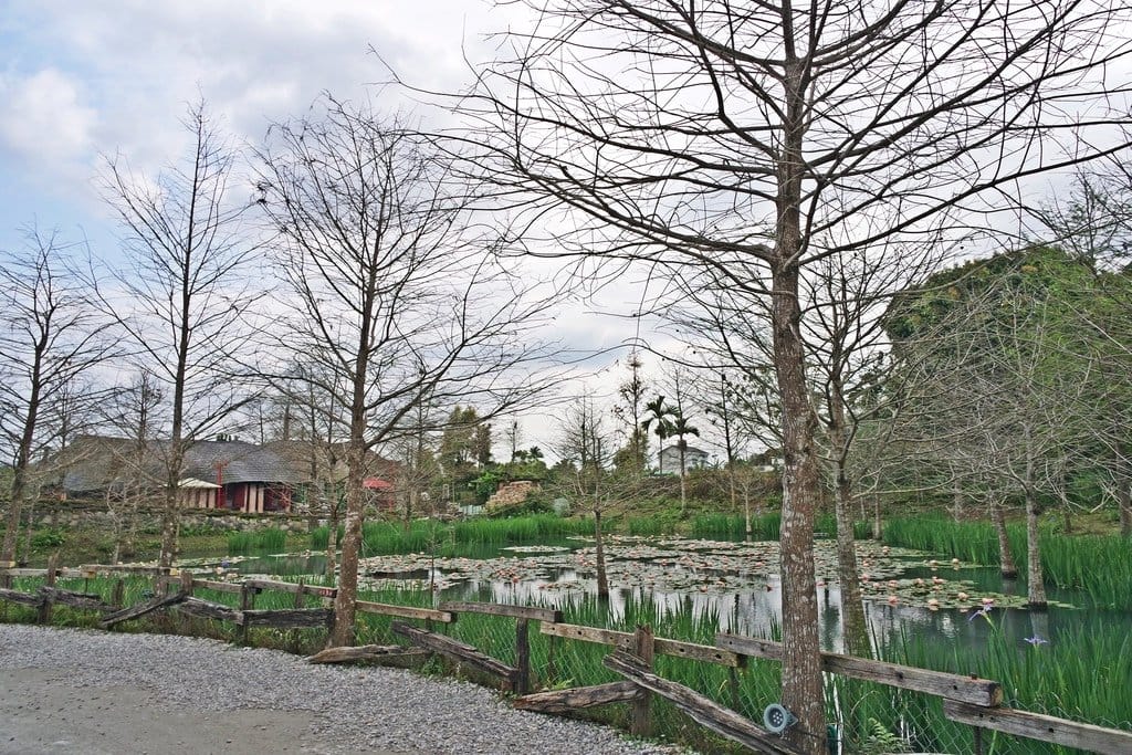 【花蓮景點】不用飛到國外,熱門人氣童話屋景點推薦,Mr. Sam 山姆先生咖啡館,還有超美落羽松 - 第2張圖 【花蓮景點】不用飛到國外,熱門人氣童話屋景點推薦,Mr. Sam 山姆先生咖啡館,還有超美落羽松