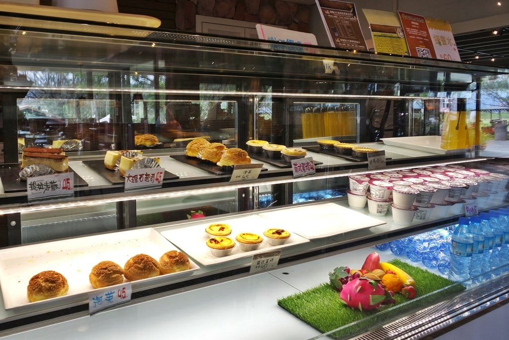 【花蓮景點】超大占地,不用人擠人,親子旅遊推薦,新光兆豐休閒農場,體驗可愛小動物餵食互動