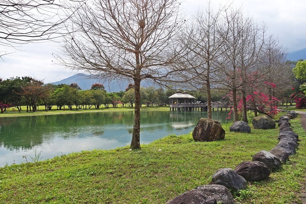 【花蓮景點】超大占地,不用人擠人,親子旅遊推薦,新光兆豐休閒農場,體驗可愛小動物餵食互動