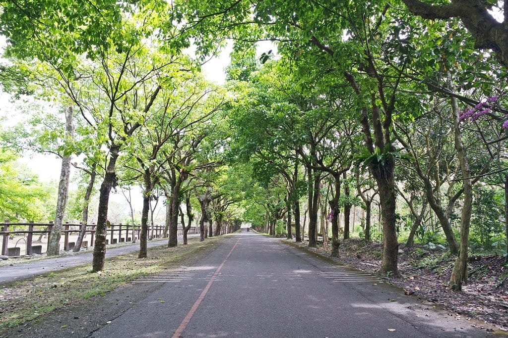 【花蓮景點】超大占地,不用人擠人,親子旅遊推薦,新光兆豐休閒農場,體驗可愛小動物餵食互動