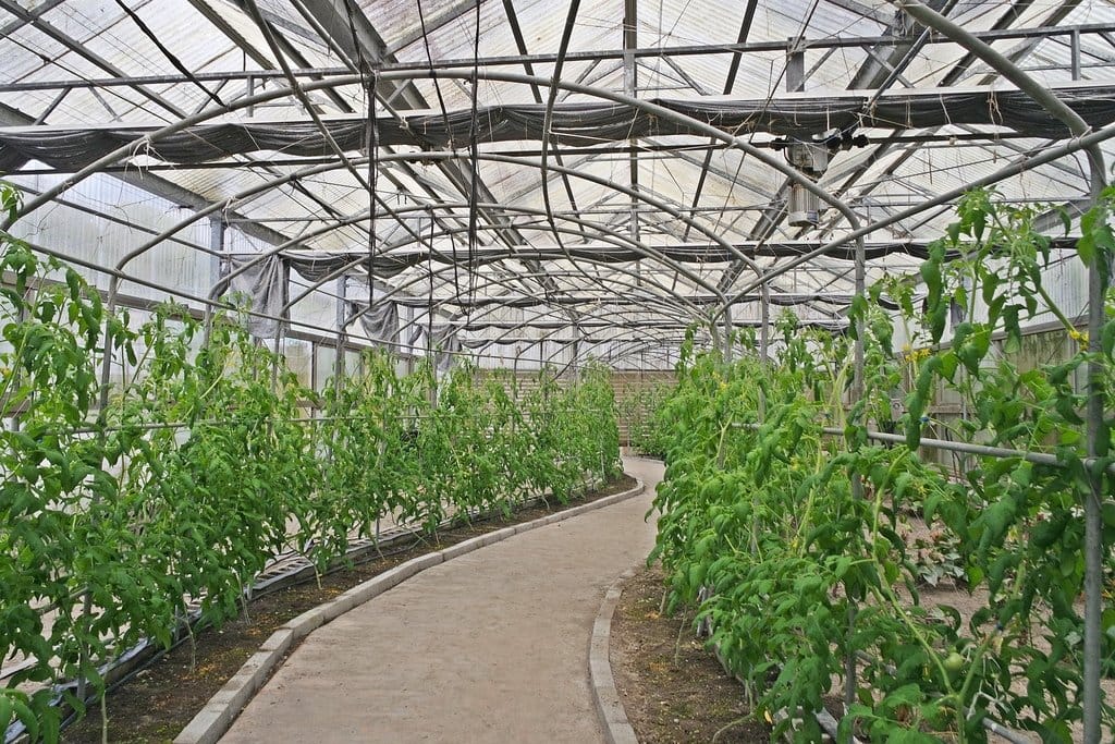 【花蓮景點】超大占地,不用人擠人,親子旅遊推薦,新光兆豐休閒農場,體驗可愛小動物餵食互動