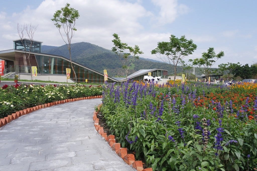 【花蓮景點】超大占地,不用人擠人,親子旅遊推薦,新光兆豐休閒農場,體驗可愛小動物餵食互動