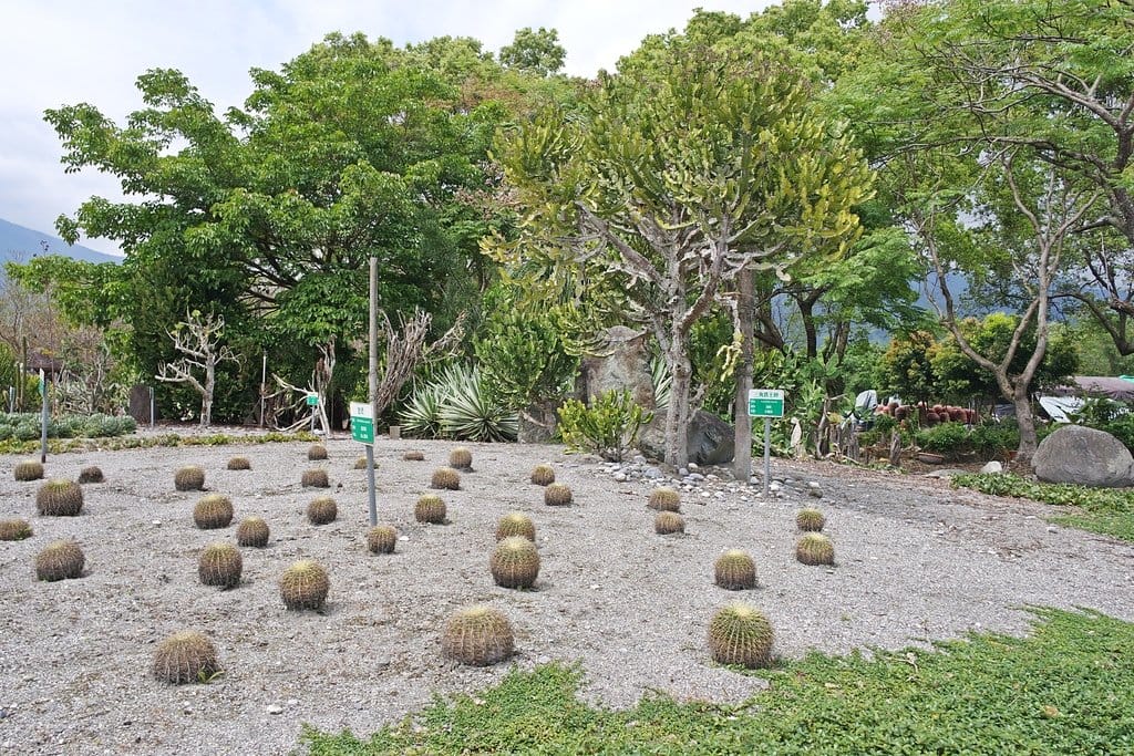【花蓮景點】超大占地,不用人擠人,親子旅遊推薦,新光兆豐休閒農場,體驗可愛小動物餵食互動