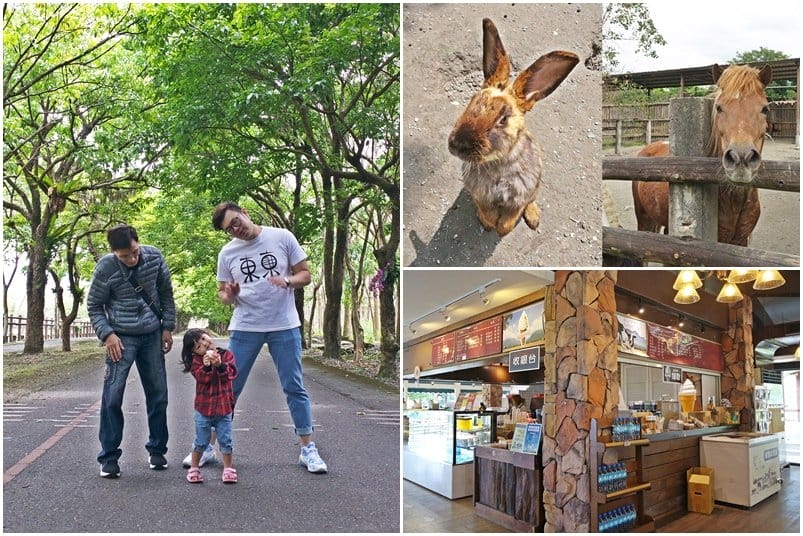 【住宿分享】國內旅遊,花蓮古拉民宿包棟,家庭親子旅遊住宿推薦,庭院烤肉、歡唱ktv、田園腳踏車