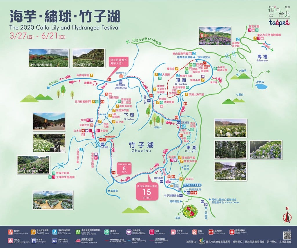 【新北景點】2020陽明山竹子湖花季,「芋望塵世」超美海芋季已經開始了呦,附上交通資訊 - 第13張圖 【新北景點】2020陽明山竹子湖花季,「芋望塵世」超美海芋季已經開始了呦,附上交通資訊