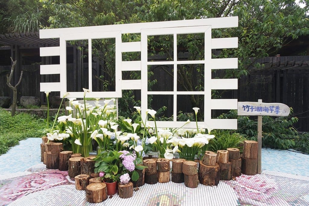 【新北景點】2020陽明山竹子湖花季,「芋望塵世」超美海芋季已經開始了呦,附上交通資訊 - 第2張圖 【新北景點】2020陽明山竹子湖花季,「芋望塵世」超美海芋季已經開始了呦,附上交通資訊