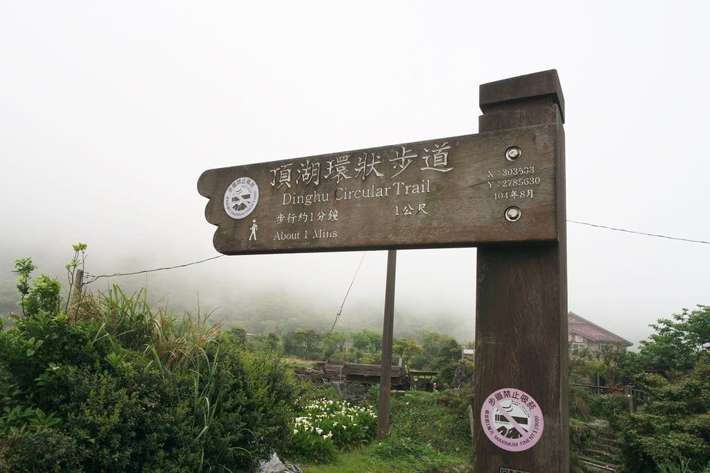 【新北景點】2020陽明山竹子湖花季,「芋望塵世」超美海芋季已經開始了呦,附上交通資訊 - 第3張圖 【新北景點】2020陽明山竹子湖花季,「芋望塵世」超美海芋季已經開始了呦,附上交通資訊