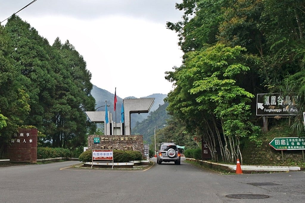 【南投景點】鹿谷鄉,國立自然科學博物館,鳳凰谷鳥園生態園區,親子旅遊推薦,森林長坡溜滑梯,吊橋