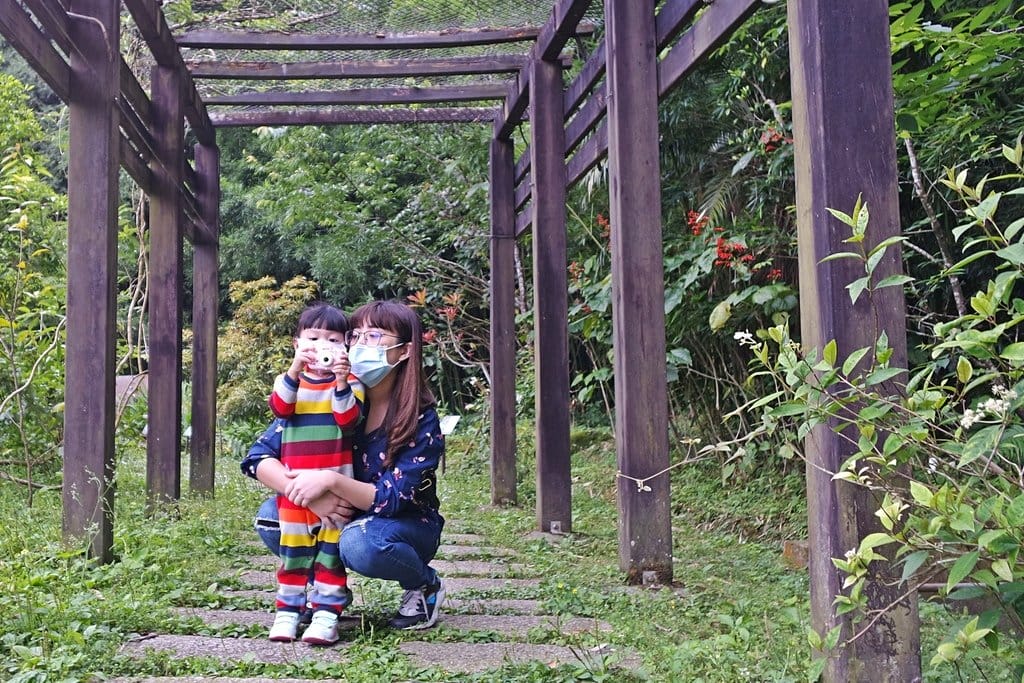 【南投景點】鹿谷鄉,國立自然科學博物館,鳳凰谷鳥園生態園區,親子旅遊推薦,森林長坡溜滑梯,吊橋
